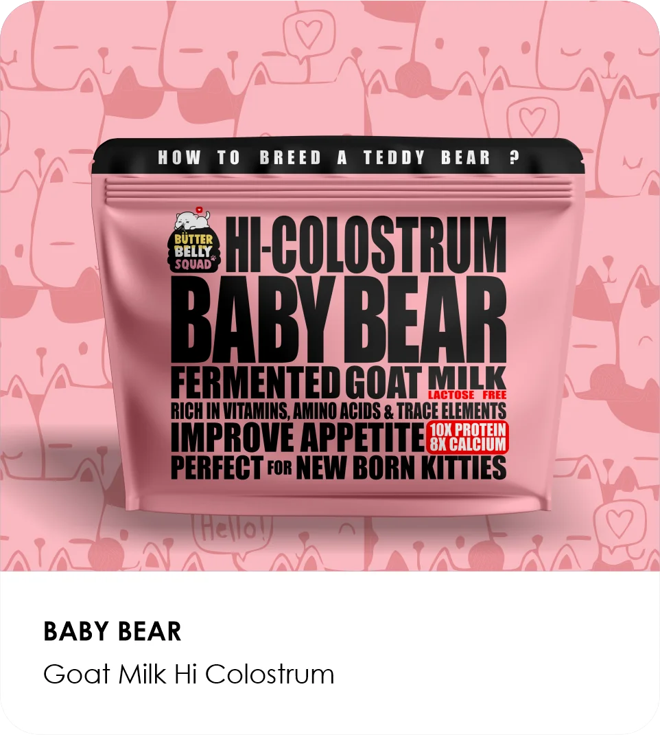 Petglow Baby Bear